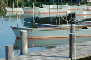 Docked crabbing boats