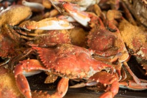 Steamed blue crabs ready to eat.