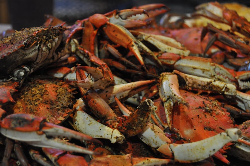 The Eastern Shore is one of the best places to stay in Maryland, where you can enjoy endless piles of crab like this and other fresh seafood