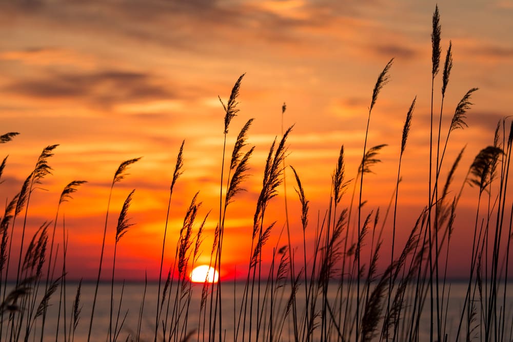 Beautiful sunset at one of the best Eastern Shore beaches in Maryland