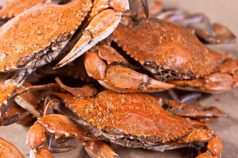 maryland crab dredge report 2022