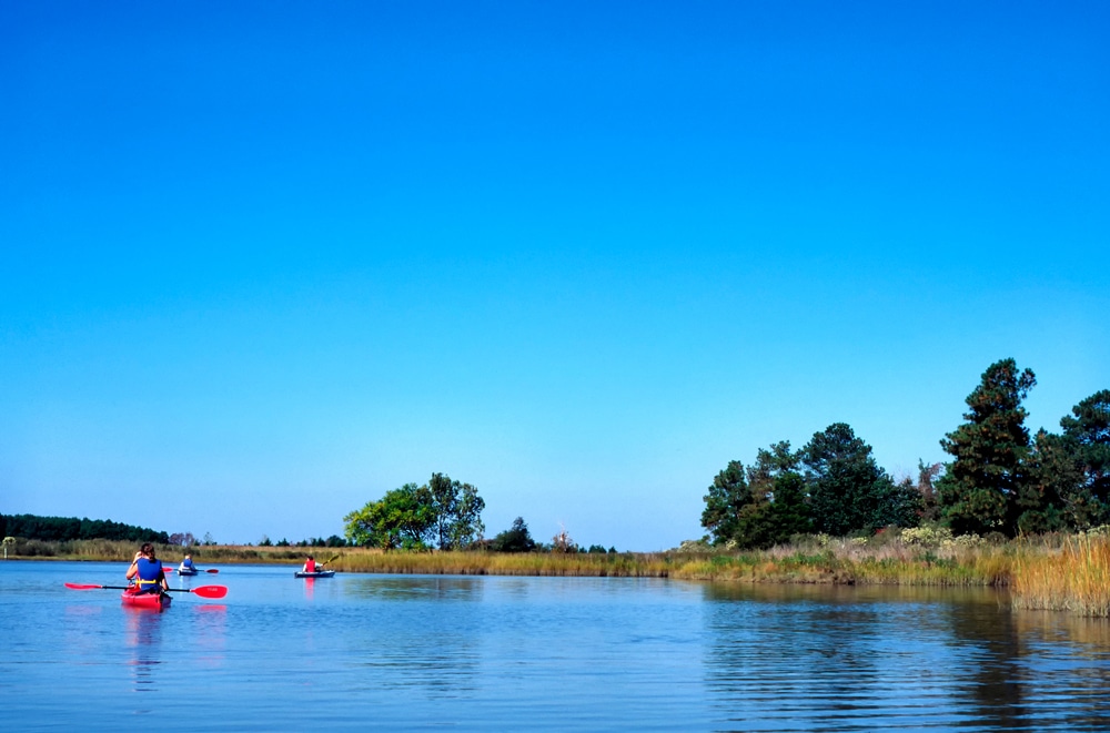 Aside from Chesapeake Bay Boat tours, kayaking is the best way to experience the beauty of the Bay