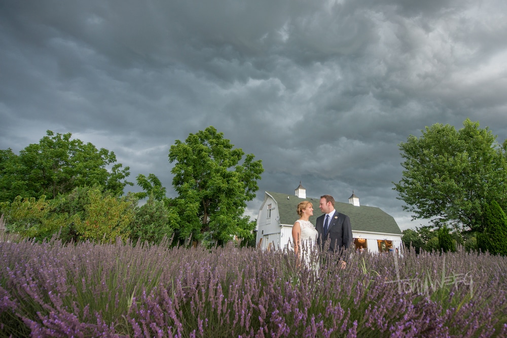 Couple eloping in Maryland in a lavender field in front of our barn wedding venue in Maryland