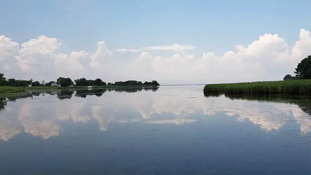 Peacefully setting to celebrate